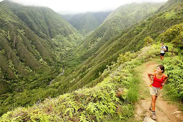 Hikers along a mountain trail in Maui