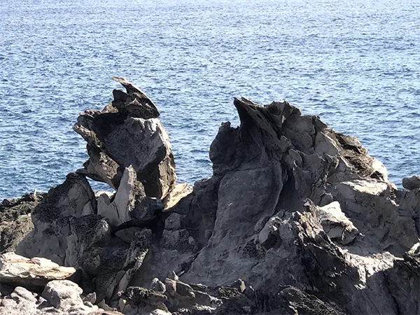 Lava rocks on the Kapalua Coastal Trail. 