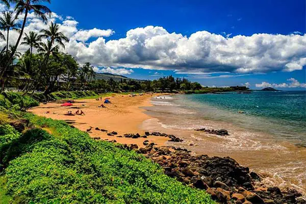 Image of the beach during the day with much vegetation and blue skies with clouds. 