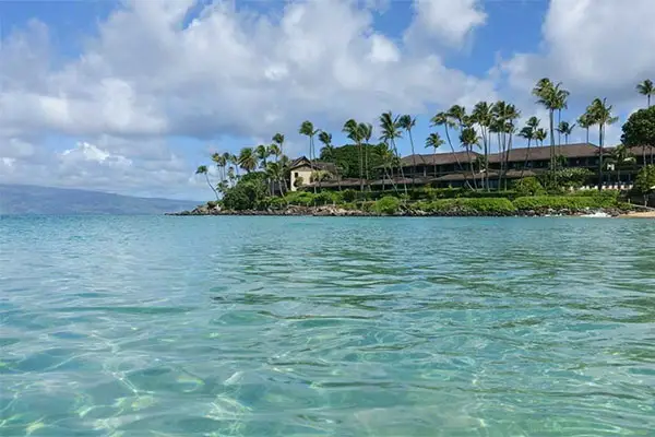 An image of a resort on the shore of the ocean, and surrounded by palm trees. 