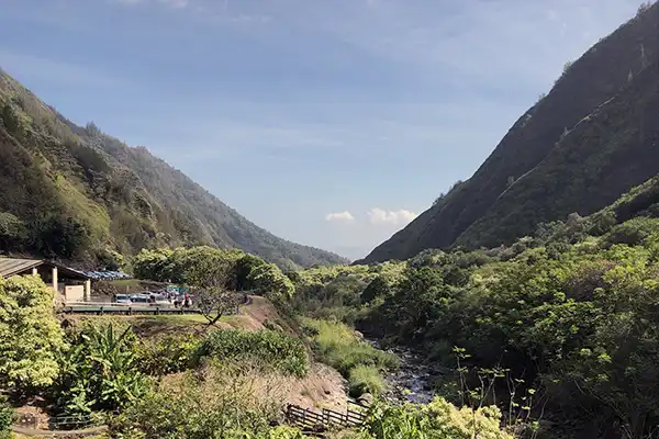 The beginning of the trail at Iao Valley. 