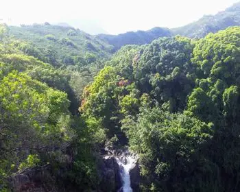 pipiwai trail with a view of a waterfall and lush jungle