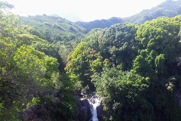 pipiwai trail with a view of a waterfall and lush jungle