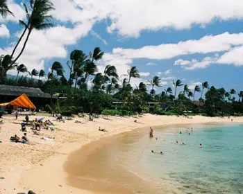 A beach with gentle tides and palms in Hawaii.