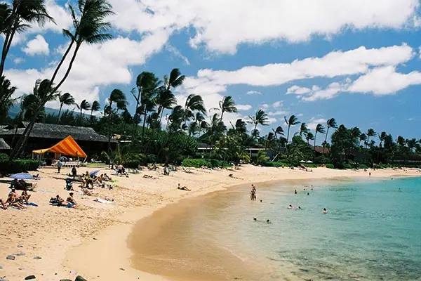 A beach with gentle tides and palms in Hawaii. 