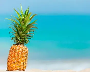 Pineapple on the beach with the ocean in the background.