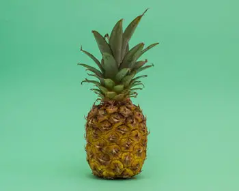 Pineapple posed with a light green background.