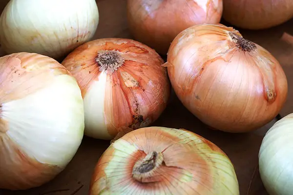 Fresh sweet onions at a farmers market road stand in Maui, Hawaii