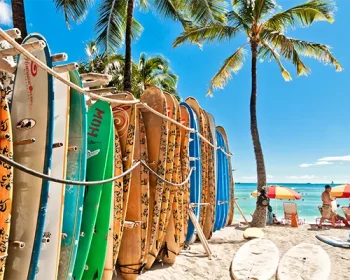 Surfboards lined up on the beach in Maui.