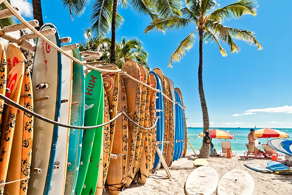 Surfboards lined up on the beach in Maui. 