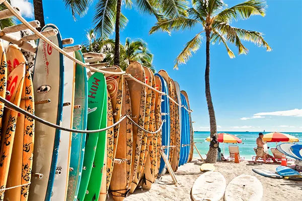 Surfboards lined up on the beach in Maui.