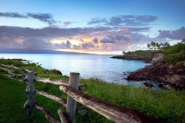 Ocean front view with green grass and a wooden barrier. 