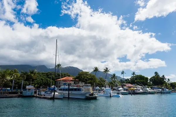 The bay in Maui with boats docked. 