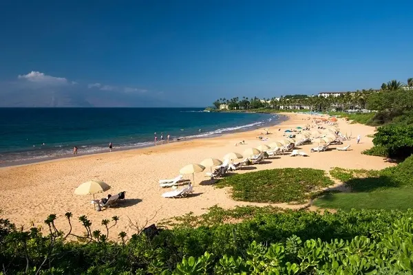 Long stretch of beach with beach chairs. 