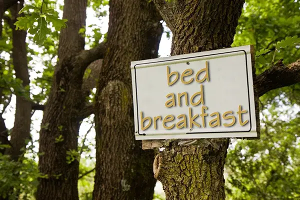 Bed and breakfast sign on a tree.