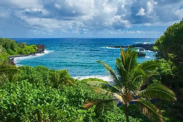 Sea view in Maui