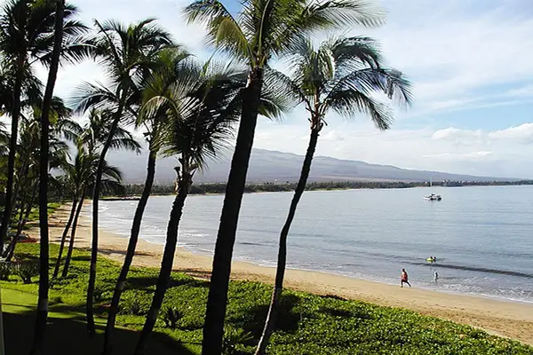 Seashore in Maui