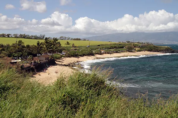 A beach with dune grass and a golf course in the background. 