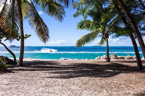 Beach in Maui with sand and palm trees.