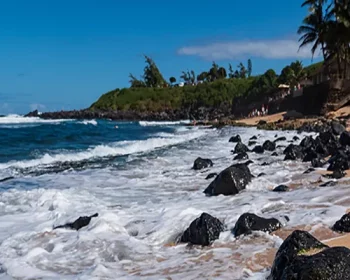Beach in Maui with rocks and surf and palm trees.