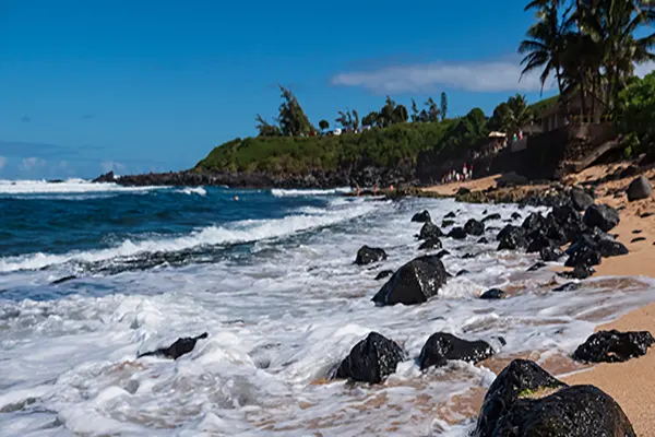 Beach in Maui with rocks and surf and palm trees.