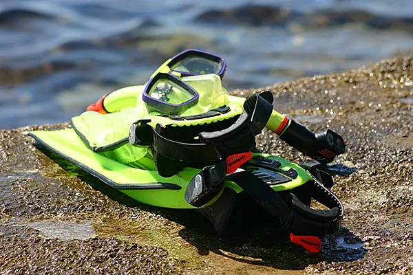 Snorkel gear near the water.