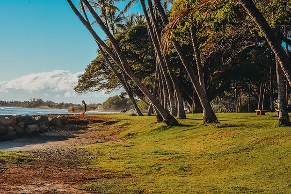 Man holding a surfboard heading for the ocean across grass, with leaning trees behind him. 