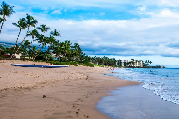 Beach with palms and a resort in the background.