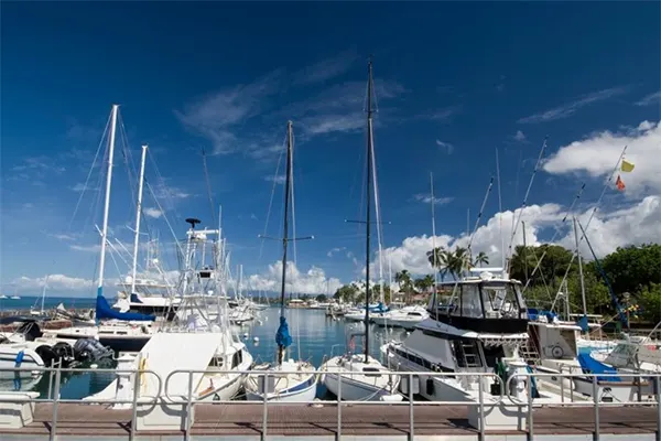 Boats docked in a harbor. 