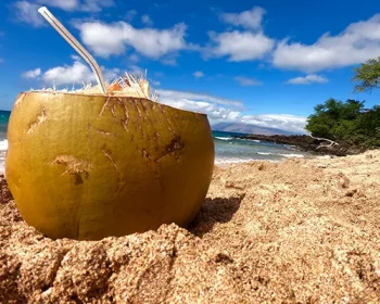 Alcoholic drink in a coconut on the sand at the beach.