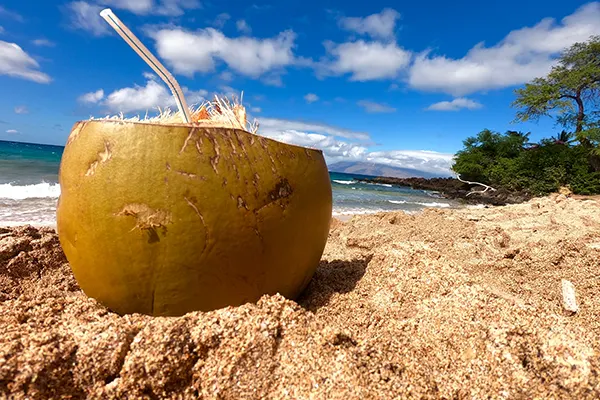 Alcoholic drink in a coconut on the sand at the beach.