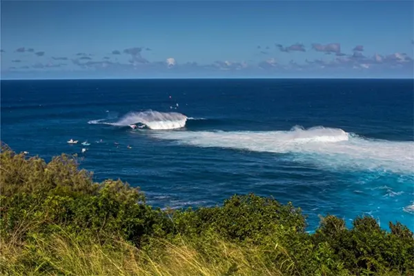 Jaws wave in the distance from the grassy shore. 