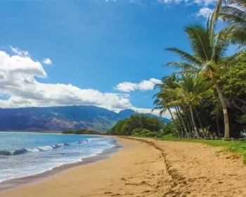 Beach in Maui.