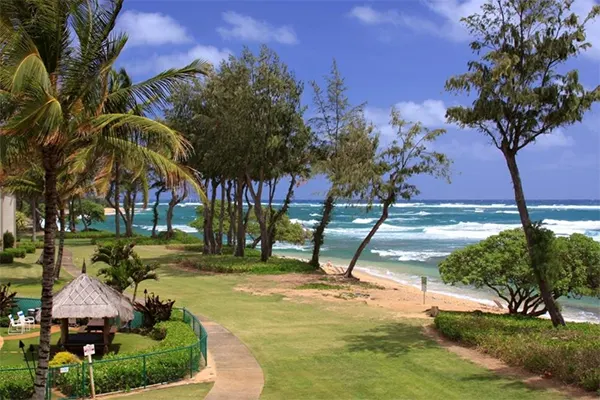 Resort with palm trees and ocean waves crashing in the background.