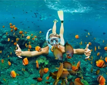Woman snorkeling underwater surrounded by fish.