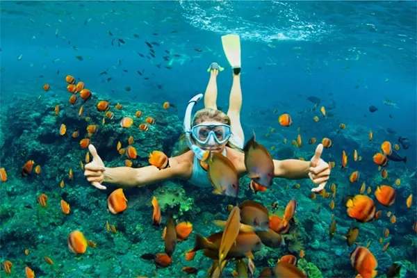 Woman snorkeling underwater surrounded by fish. 