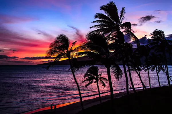 Palm trees and the ocean against a beautiful Maui sunset on Sugar Beach Kihei Hawaii