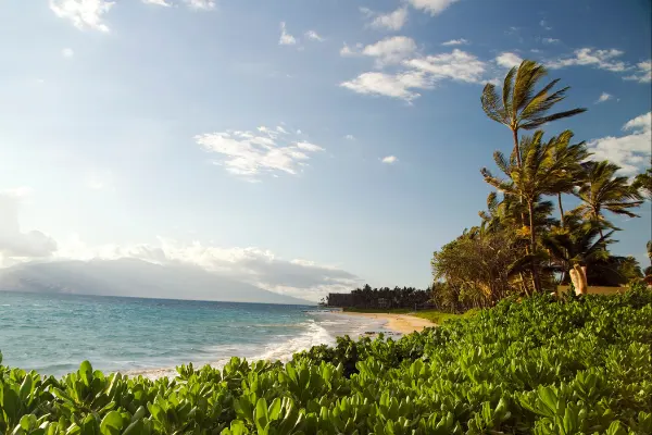 Little beach in Maui during the day.