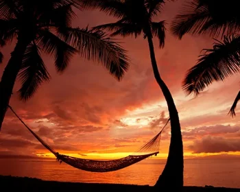 Beautiful Vacation Sunset, Hammock Silhouette with Palm Trees, Maui, Hawaii