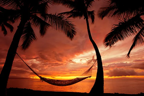 Beautiful Vacation Sunset, Hammock Silhouette with Palm Trees, Maui, Hawaii
