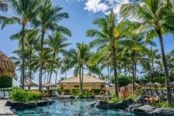 Pool with cabanas and palm trees