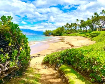 Pathway to Maui Wailea Beach