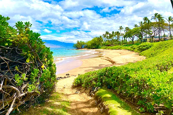 Pathway to Maui Wailea Beach