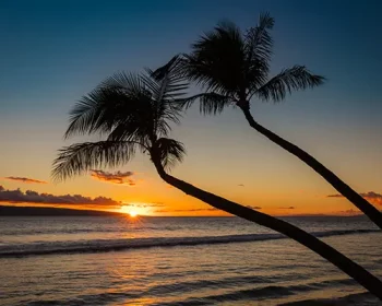 Silhouette of two palm trees at sunset on Kaanapali beach, west Maui, Hawaii