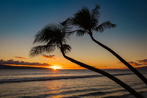 Silhouette of two palm trees at sunset on Kaanapali beach, west Maui, Hawaii