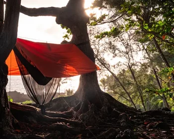 Hammock with a bug net and a rain tarp attached to two trees with early morning light. Shot in Waianapanapa State Park on the road to Hana in Maui, Hawaii USA.