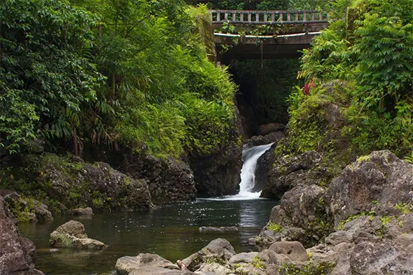 Ching’s Pond, also known as Blue Sapphire Pools at a distance. 