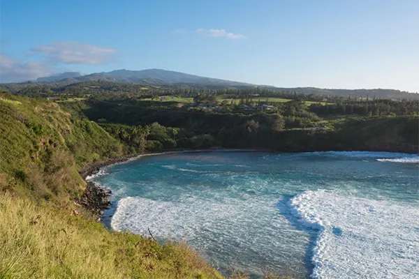 Ocean bay surrounded by green vegetation.