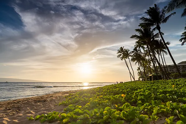 Kaanapali Beach at sunset.