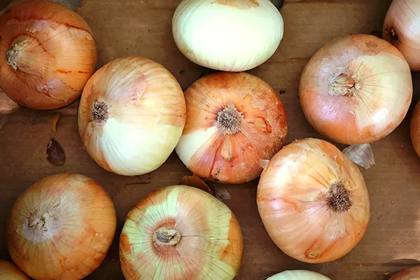 Fresh sweet onions at a farmers market road stand in Maui, Hawaii